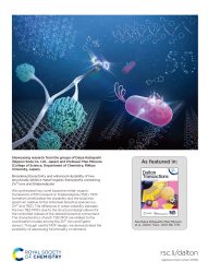 カバーピクチャー 科学イラスト 論文表紙絵 アートアクション cover picture