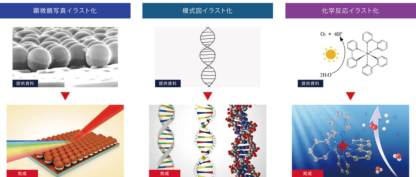 顕微鏡写真 模式図 化学反応 イラスト化