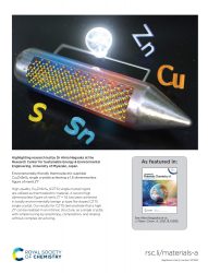 カバーピクチャー 科学イラスト 論文表紙絵 アートアクション 宮崎大学 cover picture