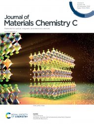 カバーピクチャー 科学イラスト 論文表紙絵 アートアクション cover picture