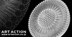 カバーピクチャー 科学イラスト リポソーム Liposome 3DCG アートアクション