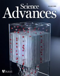 Science Advances カバーピクチャー 科学イラスト 論文表紙絵 アートアクション 兵庫県立大学 cover picture
