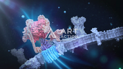 カバーピクチャー 細胞膜 科学イラスト 3DCG Web制作会社 京都 アートアクション